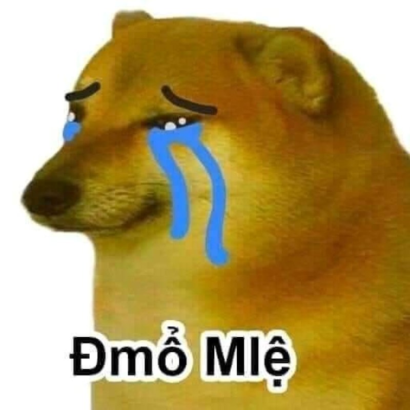 meme cheems khiến bạn cười không ngừng meme cheems khiến bạn cười không ngừng