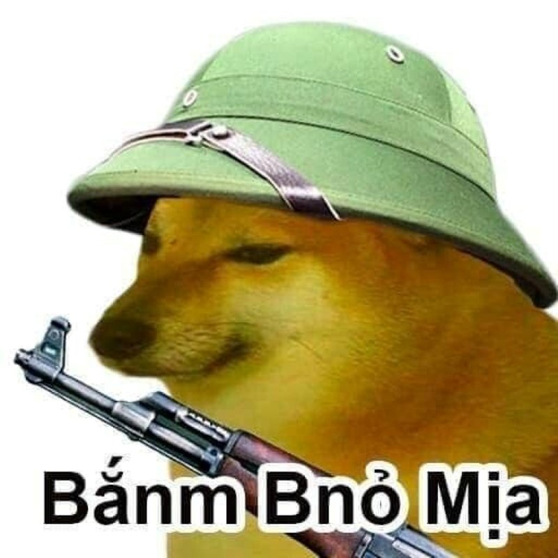 meme cheems khiến dân mạng bật cười meme cheems khiến dân mạng bật cười