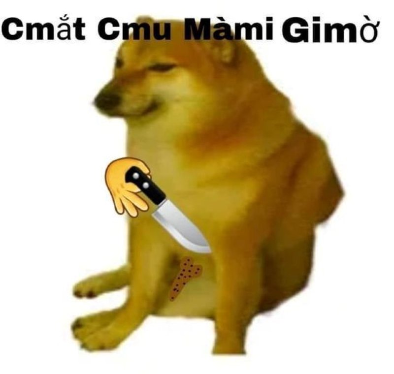 meme cheems ngáo ngơ siêu đáng yêu meme cheems ngáo ngơ siêu đáng yêu