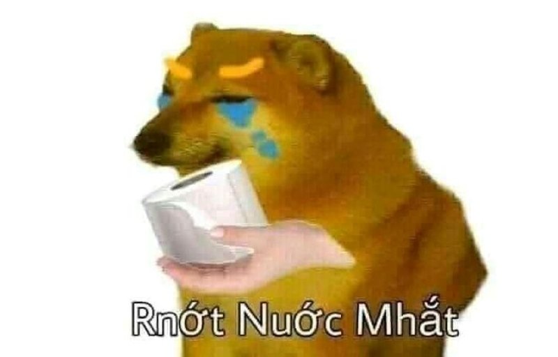 meme cheems ngơ ngác cực kỳ hài meme cheems ngơ ngác cực kỳ hài