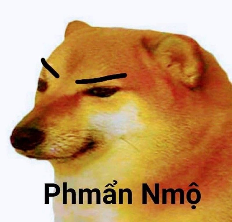 meme cheems siêu hài dành cho giới trẻ meme cheems siêu hài dành cho giới trẻ