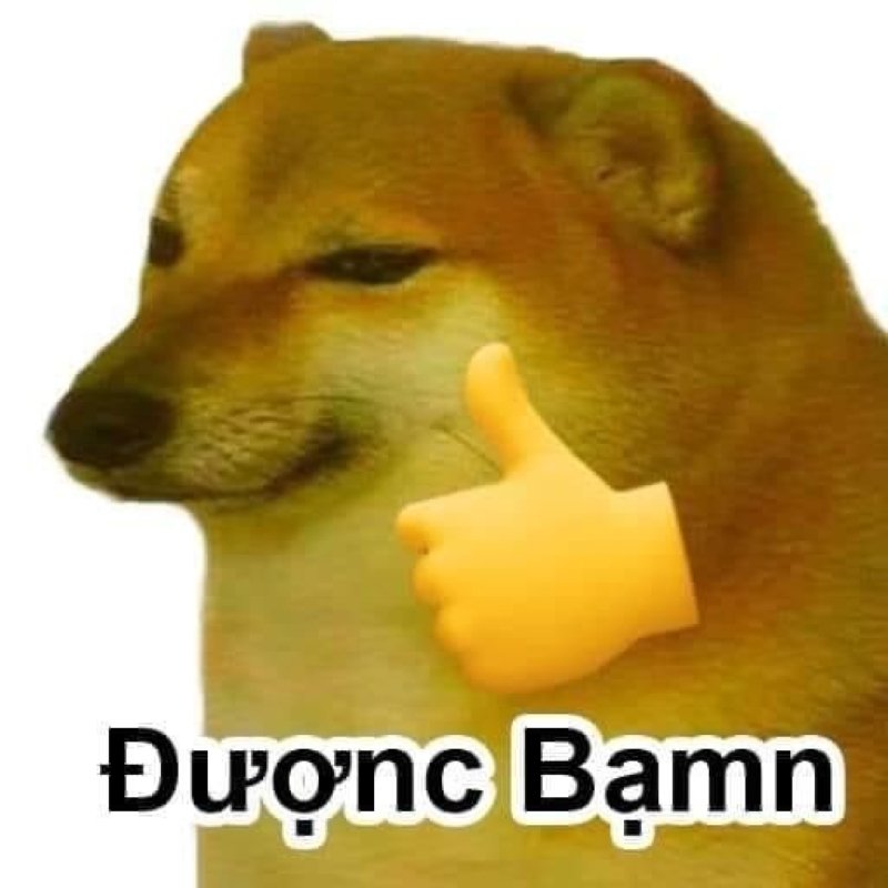 meme cheems với biểu cảm siêu lầy meme cheems với biểu cảm siêu lầy