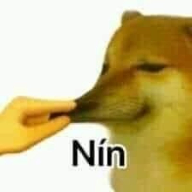 meme cheems với loạt biểu cảm độc lạ meme cheems với loạt biểu cảm độc lạ