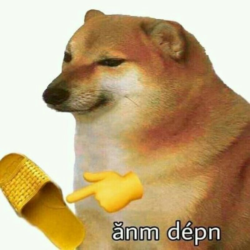 meme cheems vui nhộn cực kỳ đáng yêu meme cheems vui nhộn cực kỳ đáng yêu