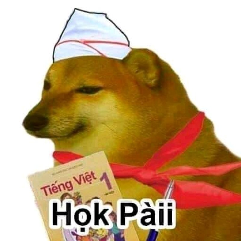 meme cheems vui nhộn không thể bỏ qua meme cheems vui nhộn không thể bỏ qua