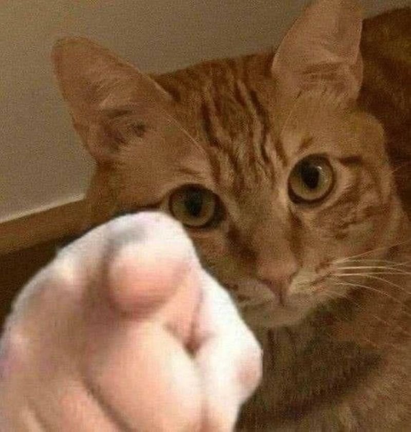 meme chỉ tay biểu cảm khó đỡ