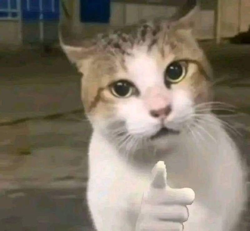 meme chỉ tay khiến dân mạng bật cười