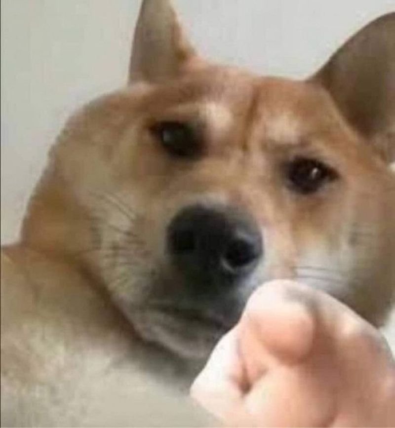 meme chỉ tay nhìn là muốn cười
