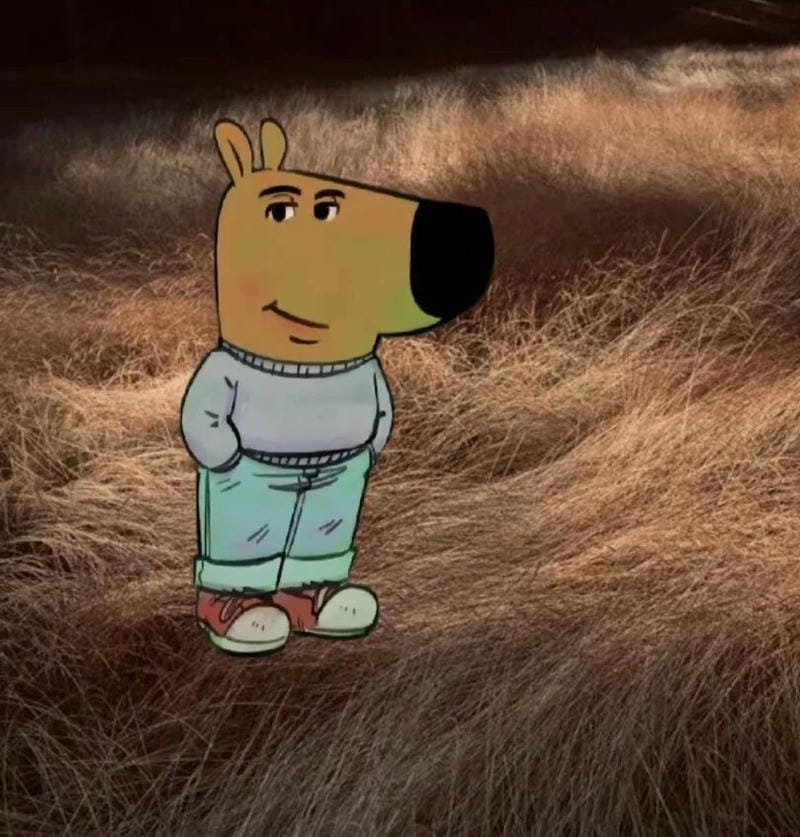 meme chill guy vibe thư thái