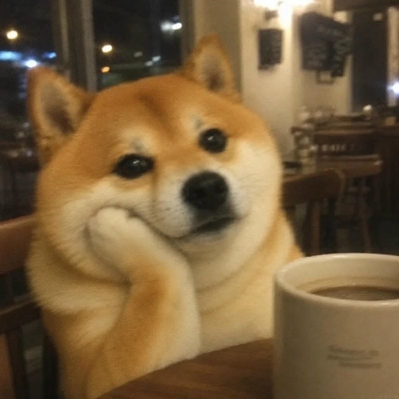meme chó cute với biểu cảm siêu lầy meme chó cute với biểu cảm siêu lầy