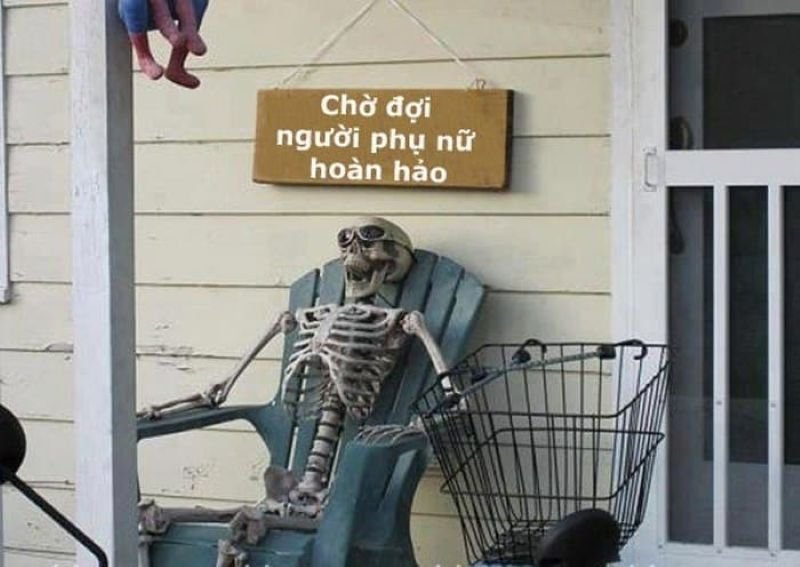 meme chờ đợi một ngày đẹp trời