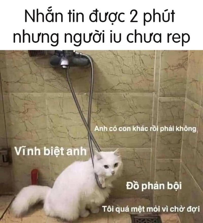 meme chờ đợi nhưng chẳng ai tới