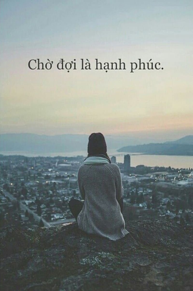meme chờ đợi tin nhắn hồi âm