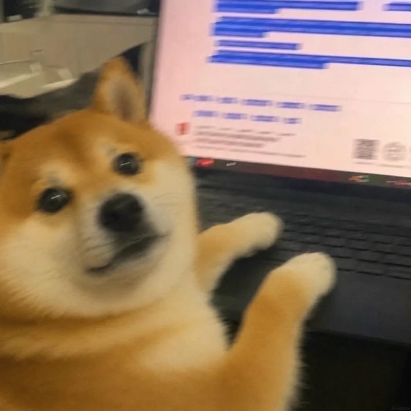 meme chó khóc nhìn vừa thương vừa hài meme chó khóc nhìn vừa thương vừa hài