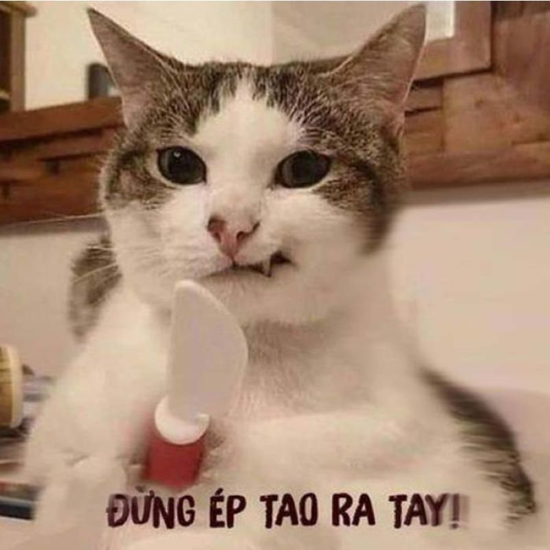meme chửi cà khịa cực kỳ bắt trend meme chửi cà khịa cực kỳ bắt trend