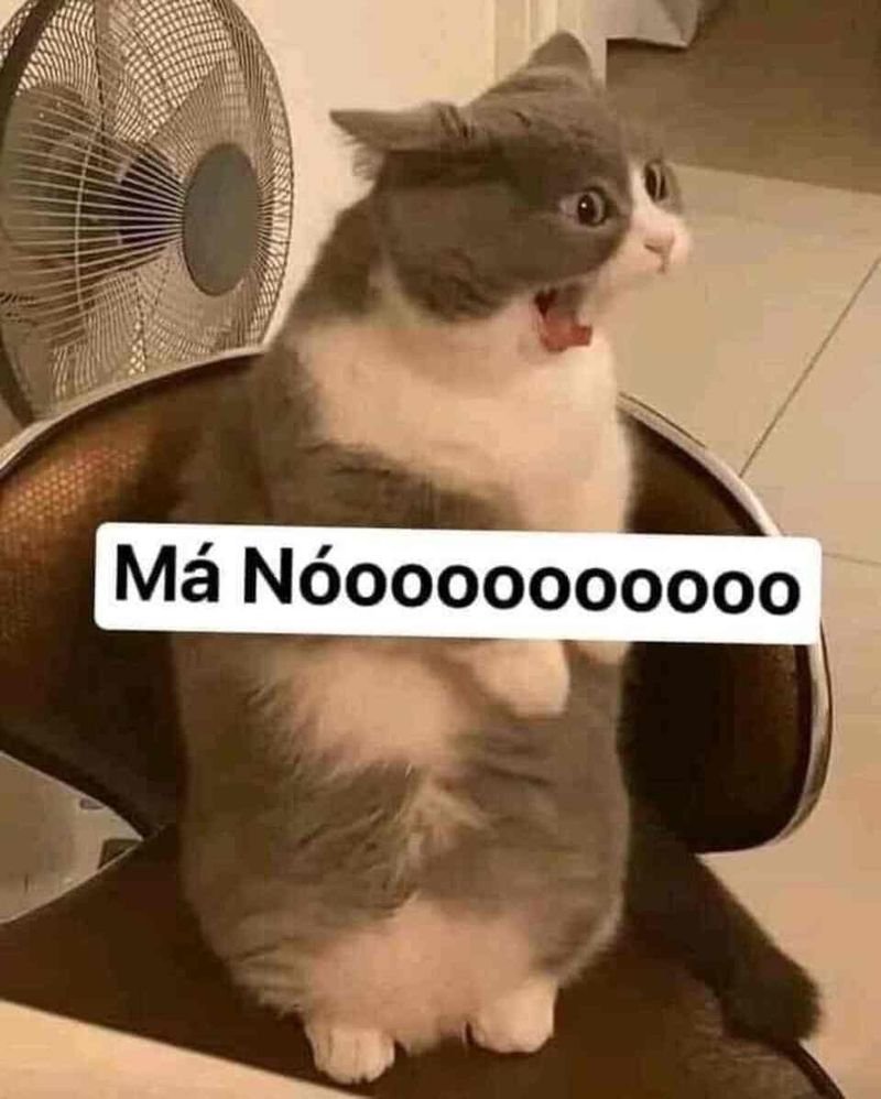 meme chửi cà khịa nhìn là thấm meme chửi cà khịa nhìn là thấm