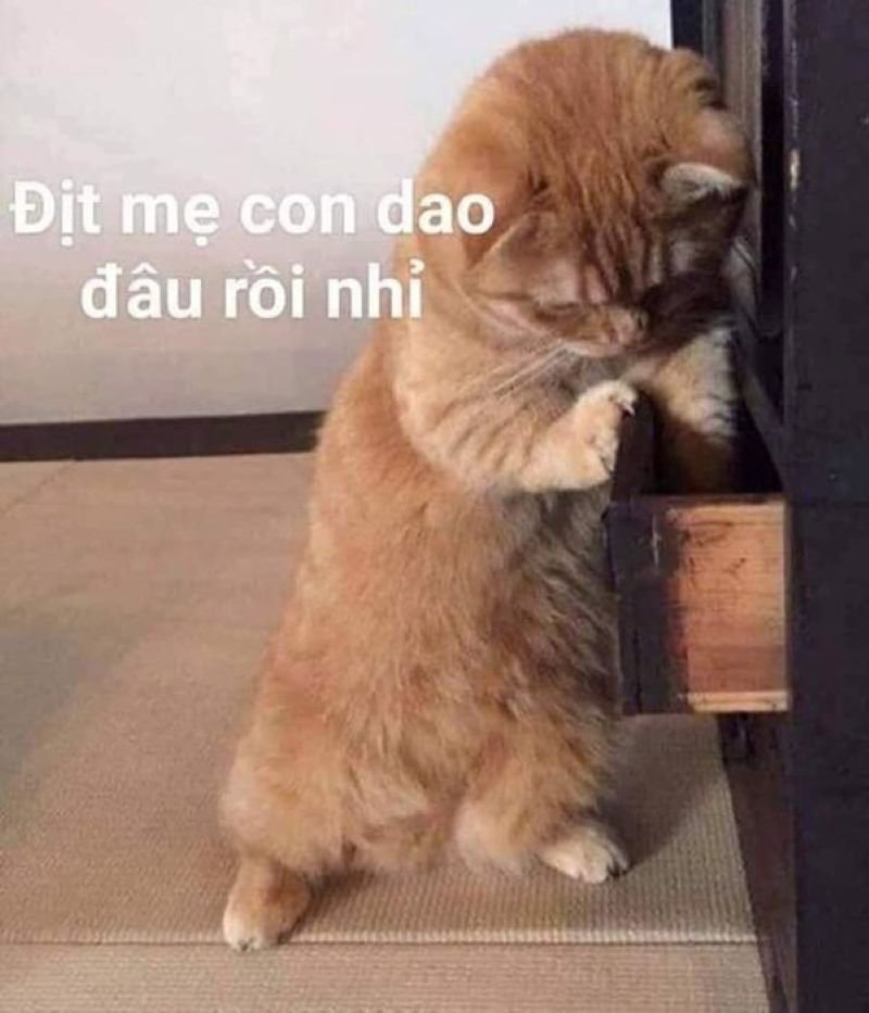 meme chửi cực gắt dành cho dân chơi meme chửi cực gắt dành cho dân chơi