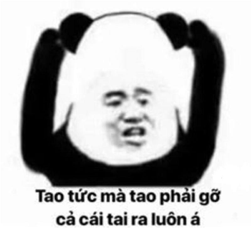 meme chửi hài hước khiến bạn bật cười meme chửi hài hước khiến bạn bật cười