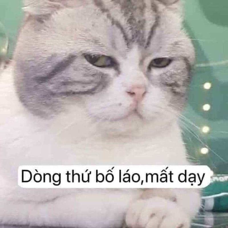 meme chửi thẳng mặt cực bá đạo meme chửi thẳng mặt cực bá đạo