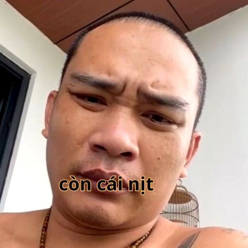 meme có cái nịt bá đạo mạng xã hội
