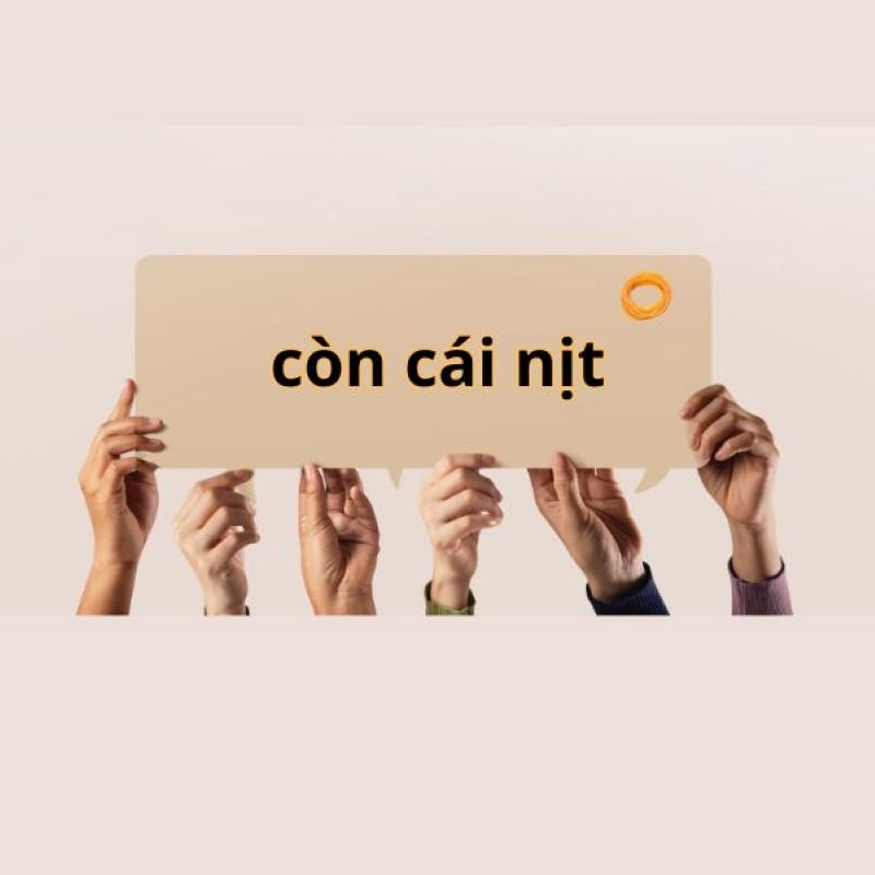 meme có cái nịt cực viral