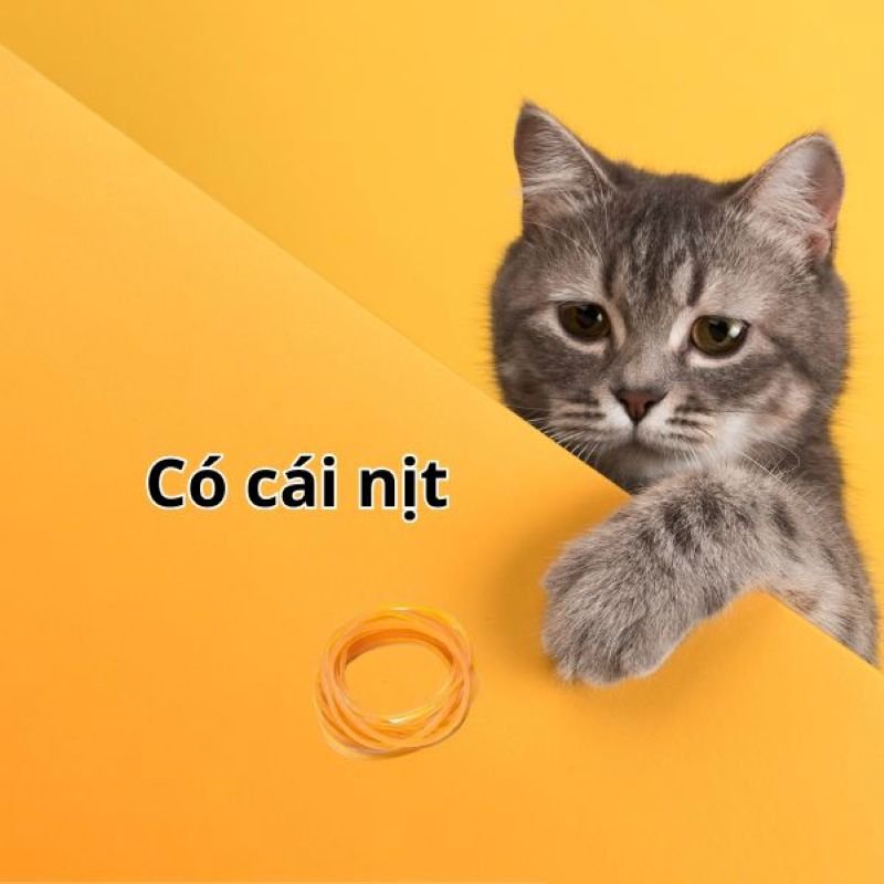 meme có cái nịt siêu hài hước