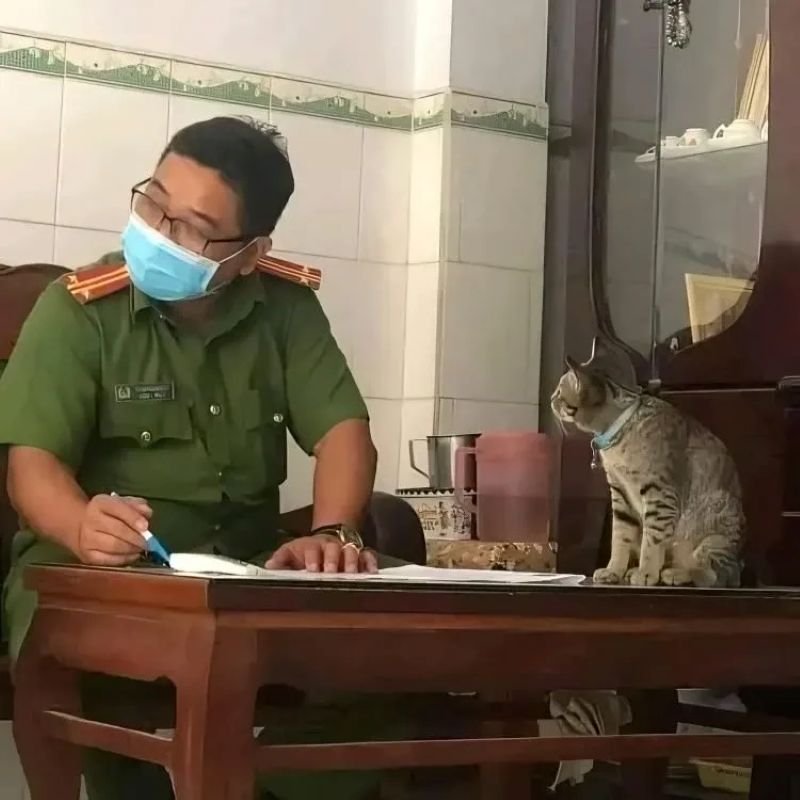 meme công an cực kỳ thú vị