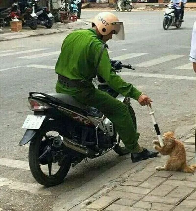 meme công an hài hước được yêu thích