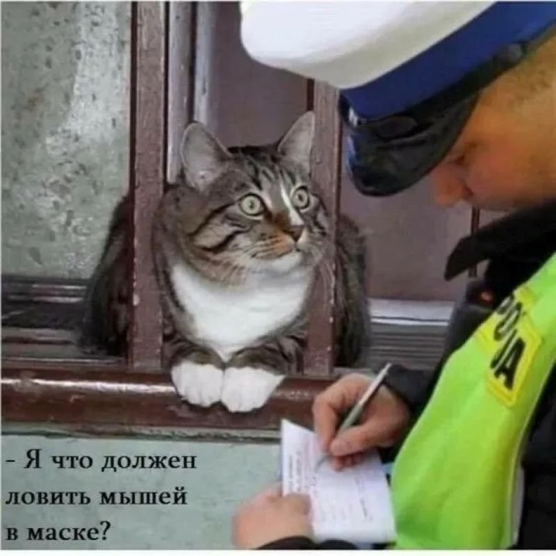 meme công an khoảnh khắc khó đỡ