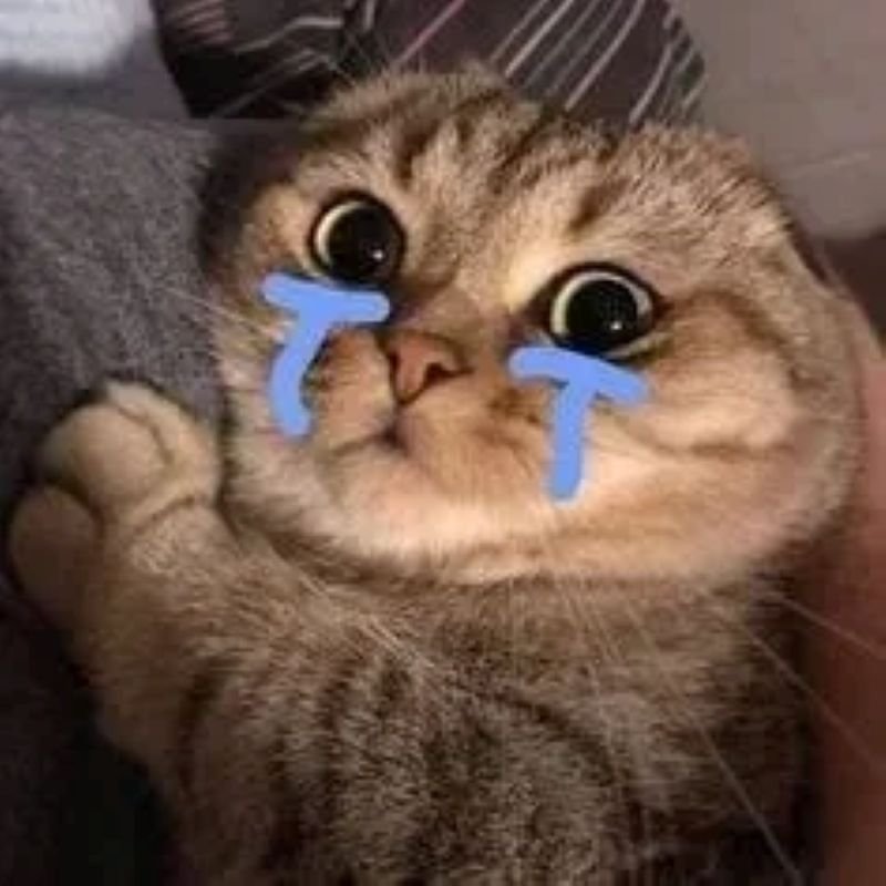 meme cringe biểu cảm đầy bất lực
