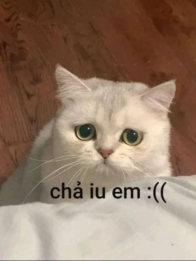 meme cringe biểu cảm không thể đỡ