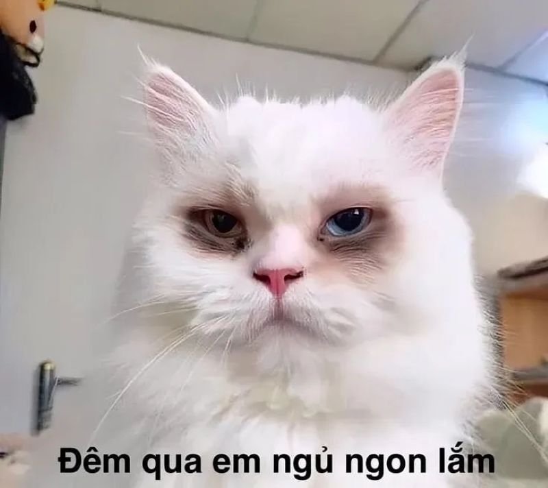 meme cringe cực kỳ bá đạo