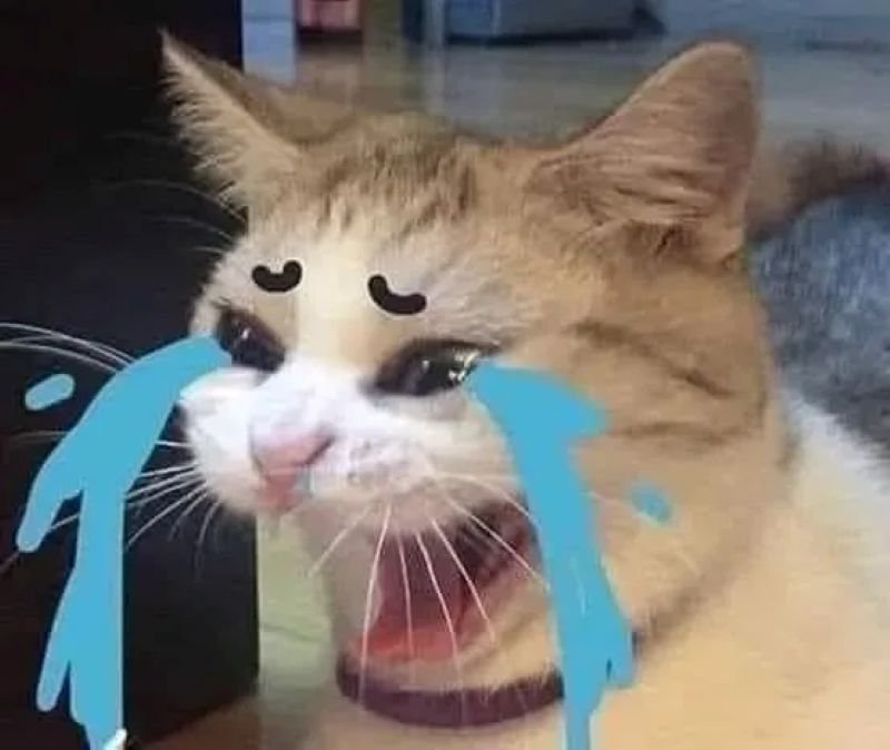 meme cringe cực phẩm gây cười