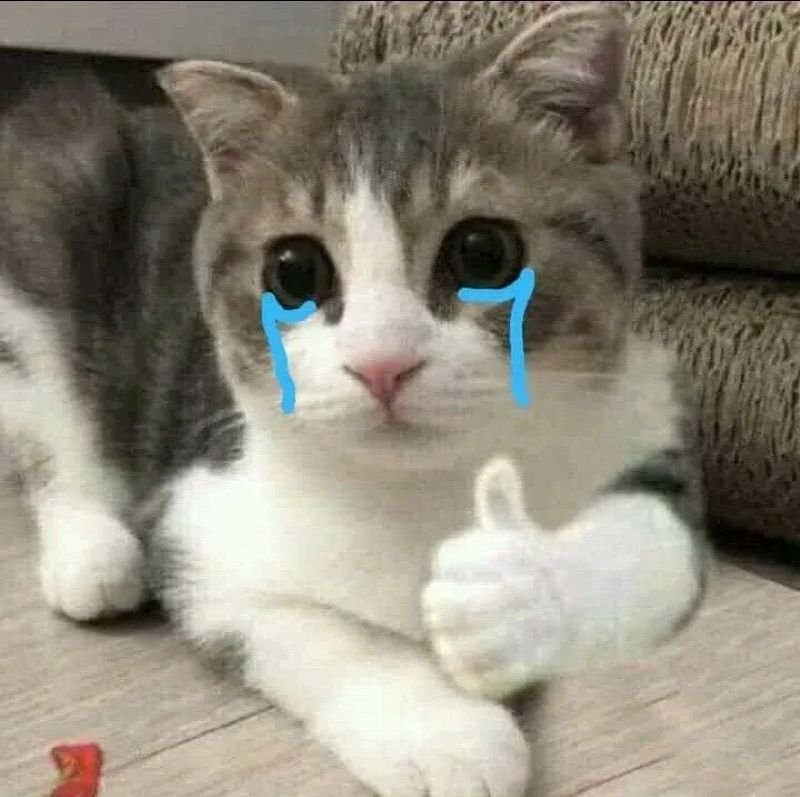 meme cringe gây ám ảnh hài hước