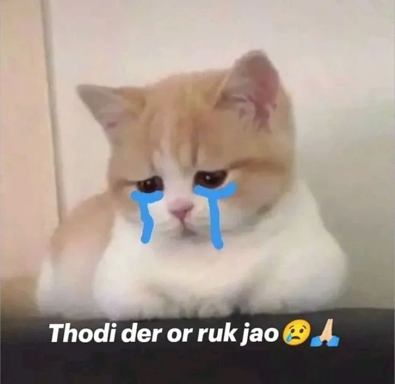 meme cringe hài hước đến bất ngờ