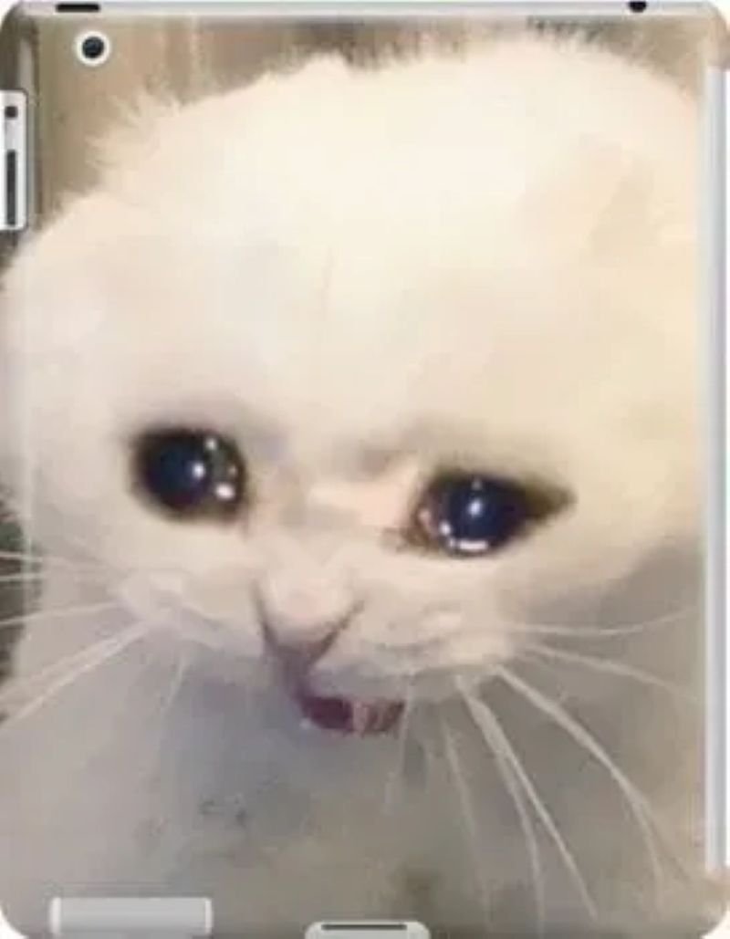 meme cringe hài hước trending hôm nay