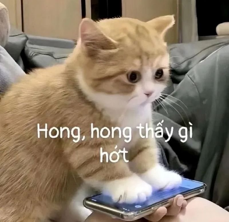 meme cringe hài lầy cực mạnh