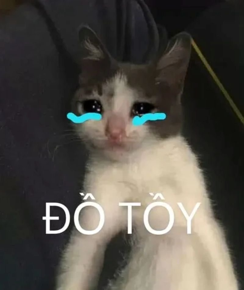 meme cringe khiến ai cũng cười