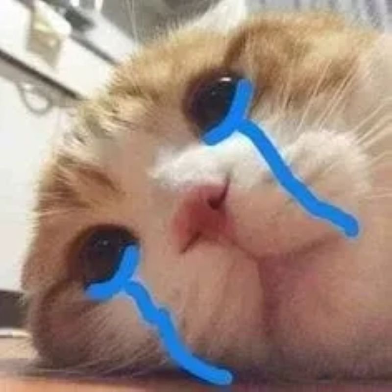 meme cringe khiến dân mạng thích thú
