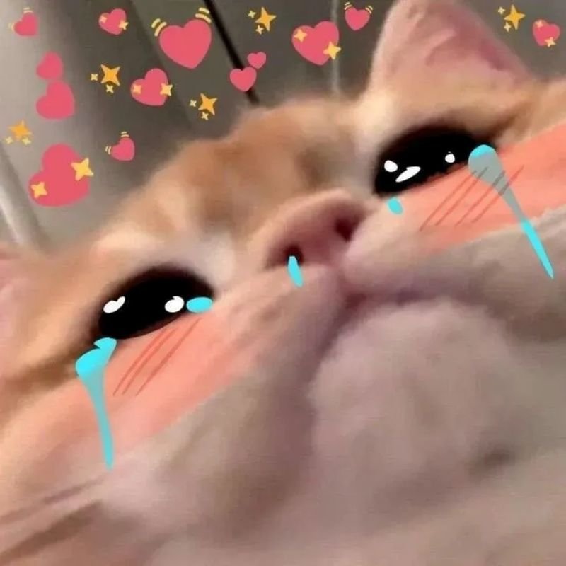 meme cringe khoảnh khắc cực quê