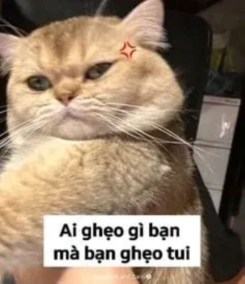 meme cringe khoảnh khắc muốn độn thổ