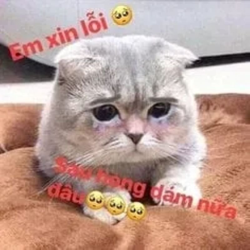 meme cringe nhìn là muốn xỉu