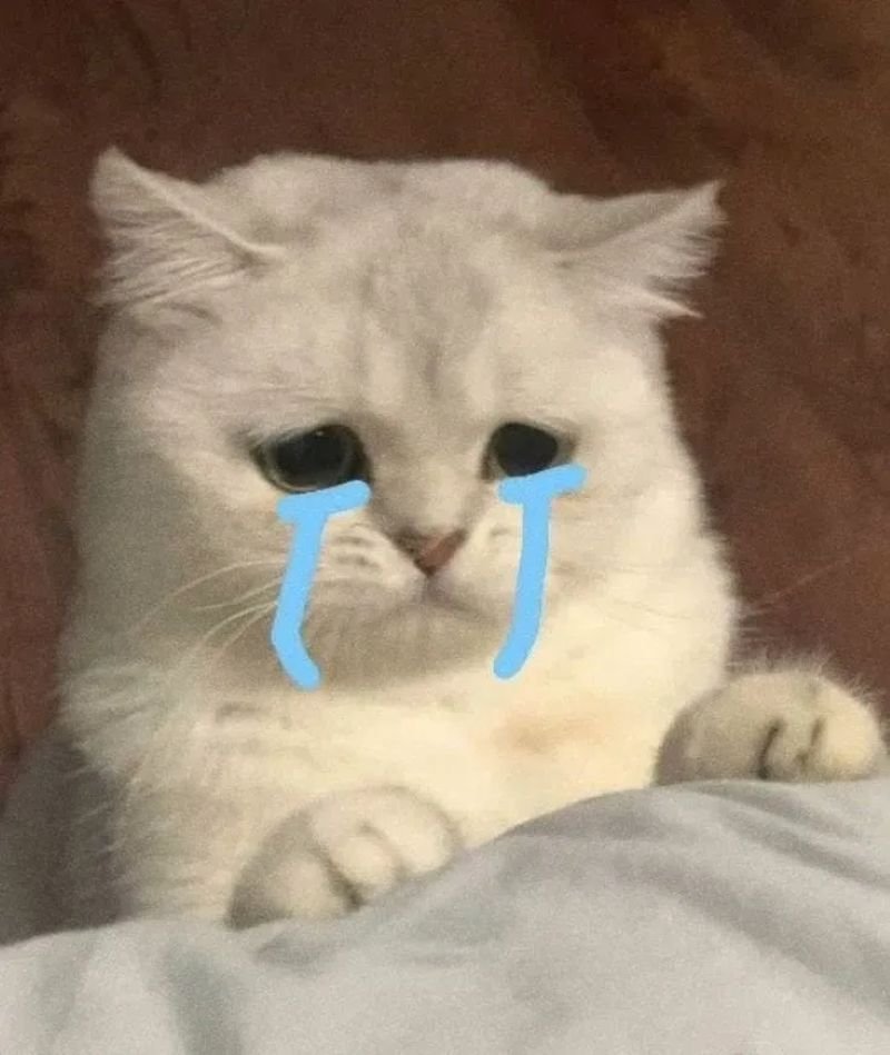 meme cringe pha xử lý đi vào lòng