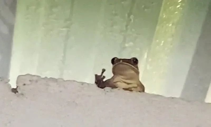 meme cringe tình huống cực kỳ oái oăm