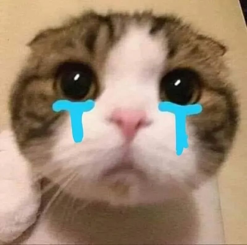 meme cringe tình huống khó tin