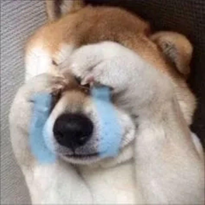 meme cringe tình huống quê độ