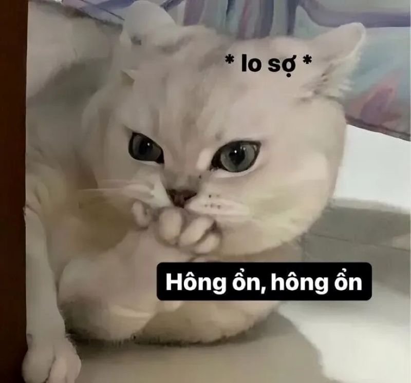 meme cringe xem là cười ngay