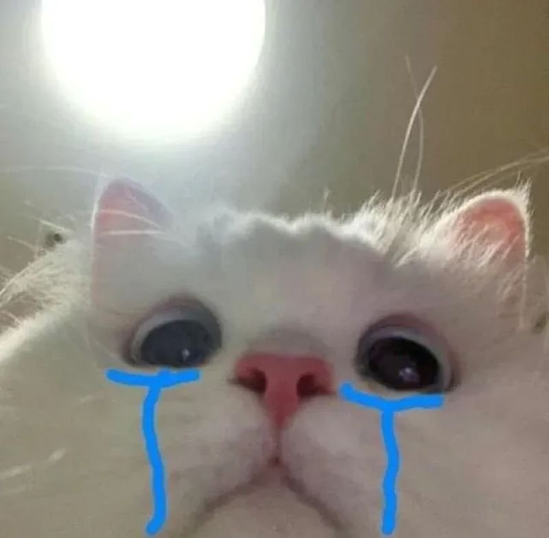 meme cringe xem xong chỉ biết cười