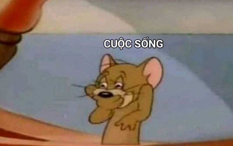 meme cười đểu biểu cảm khó đỡ