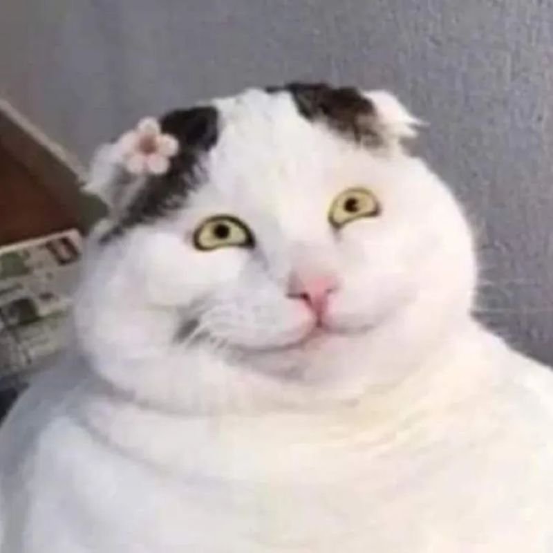 meme cười đểu cực hot trên mạng